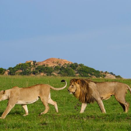 Nkomazi Game Reserve By Newmark Badplaas Eksteriør billede