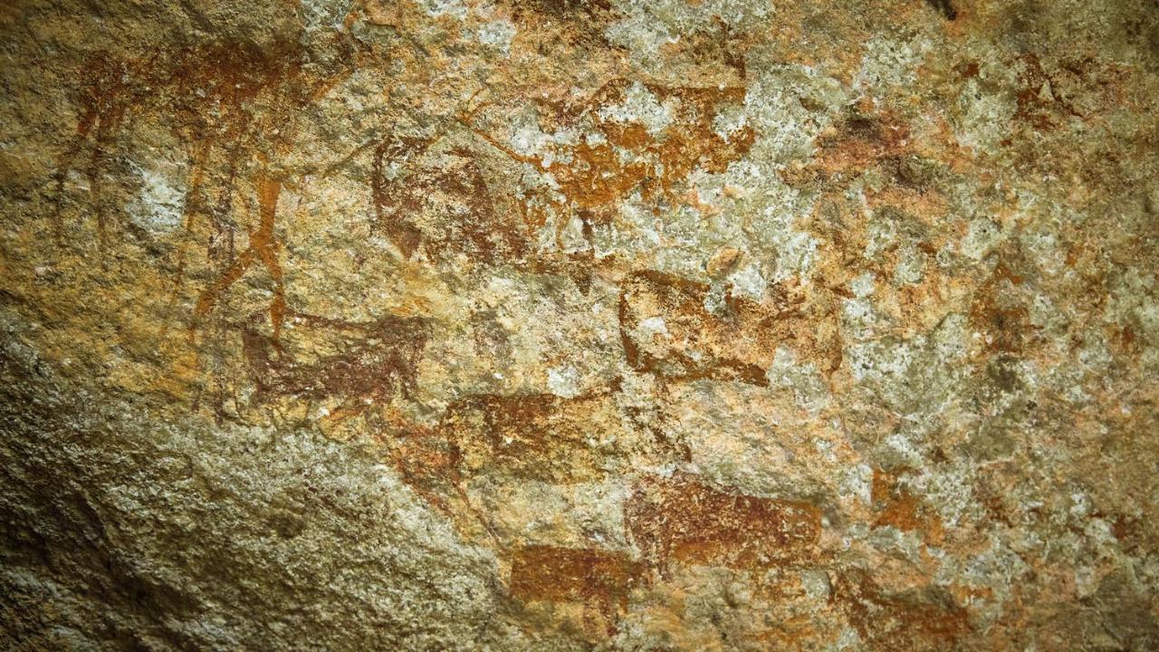 Nkomazi Game Reserve By Newmark Badplaas Eksteriør billede