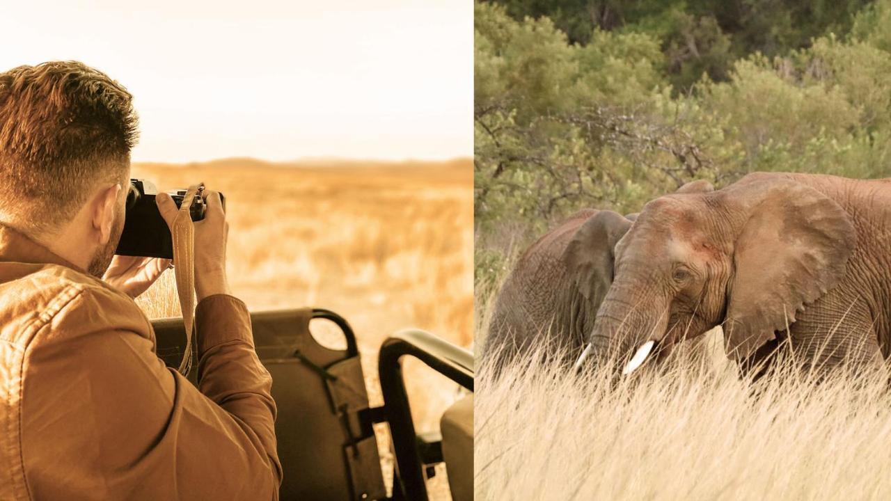 Nkomazi Game Reserve By Newmark Badplaas Eksteriør billede
