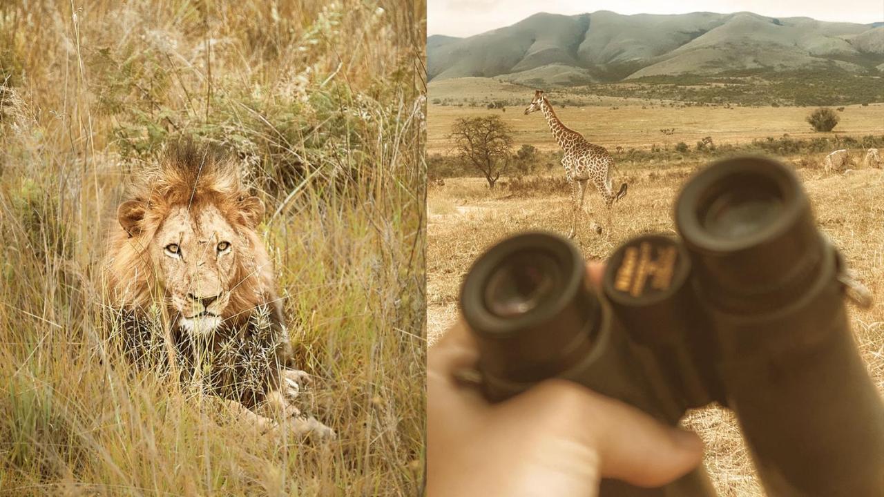 Nkomazi Game Reserve By Newmark Badplaas Eksteriør billede