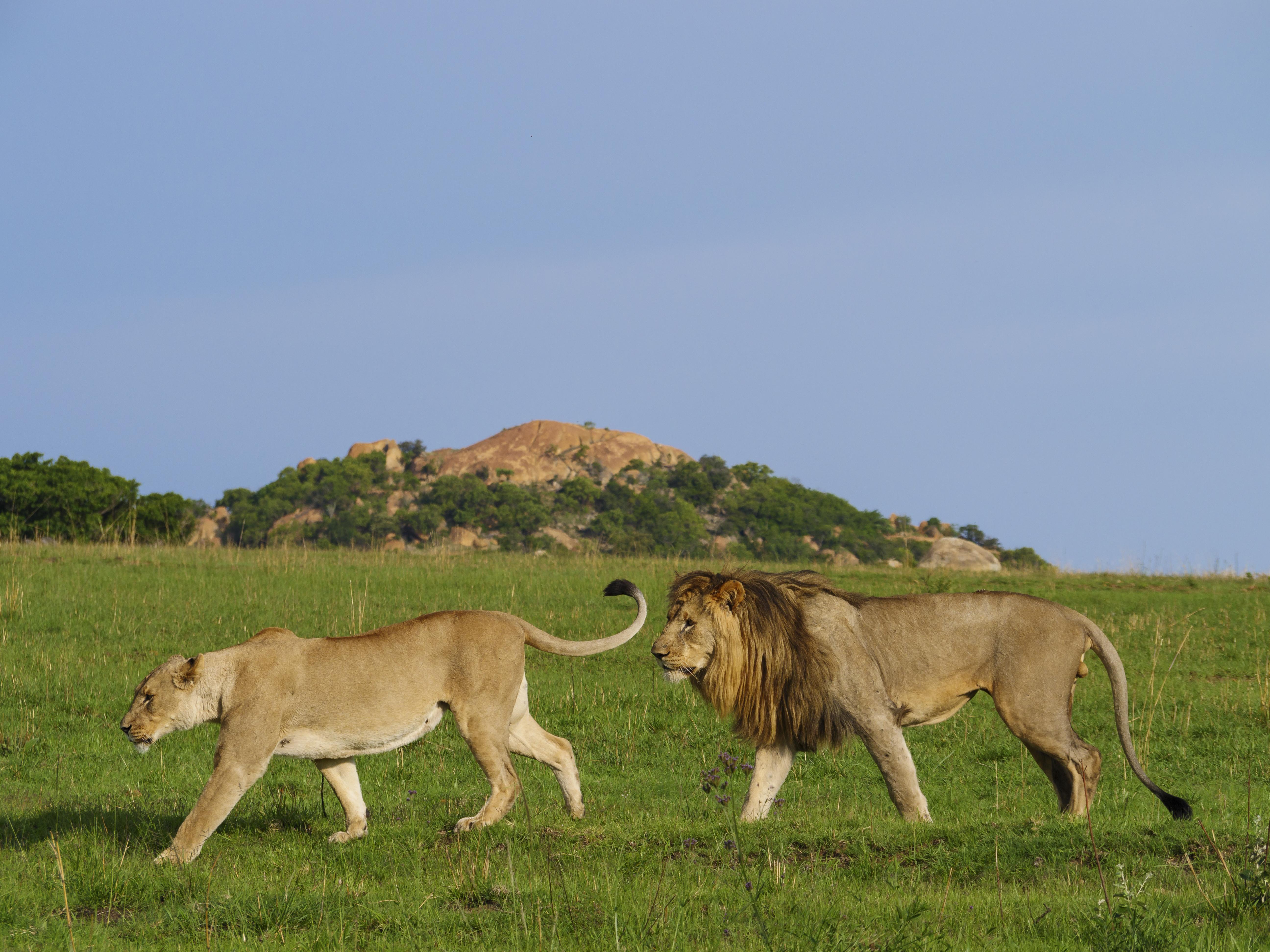 Nkomazi Game Reserve By Newmark Badplaas Eksteriør billede