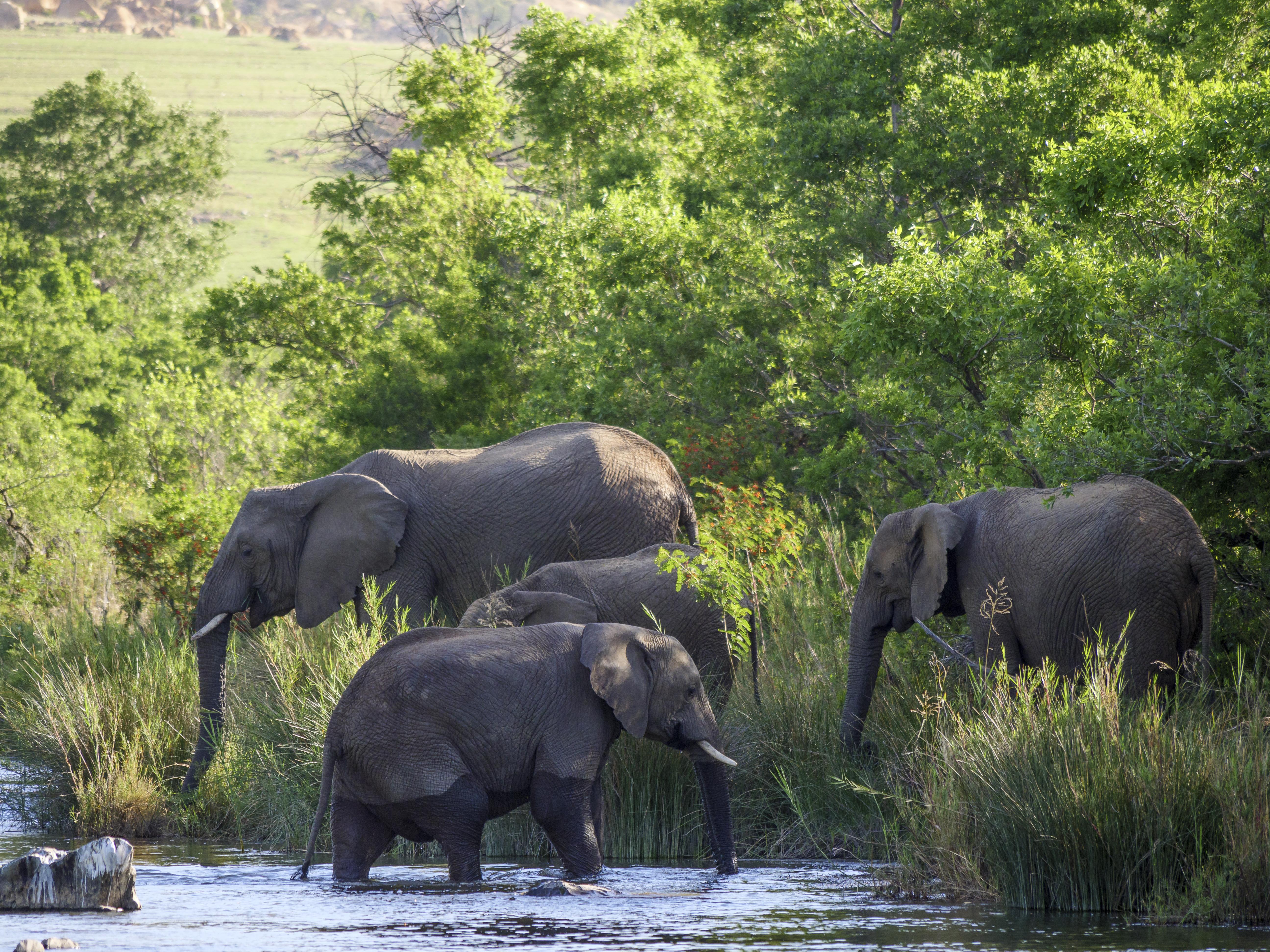 Nkomazi Game Reserve By Newmark Badplaas Eksteriør billede